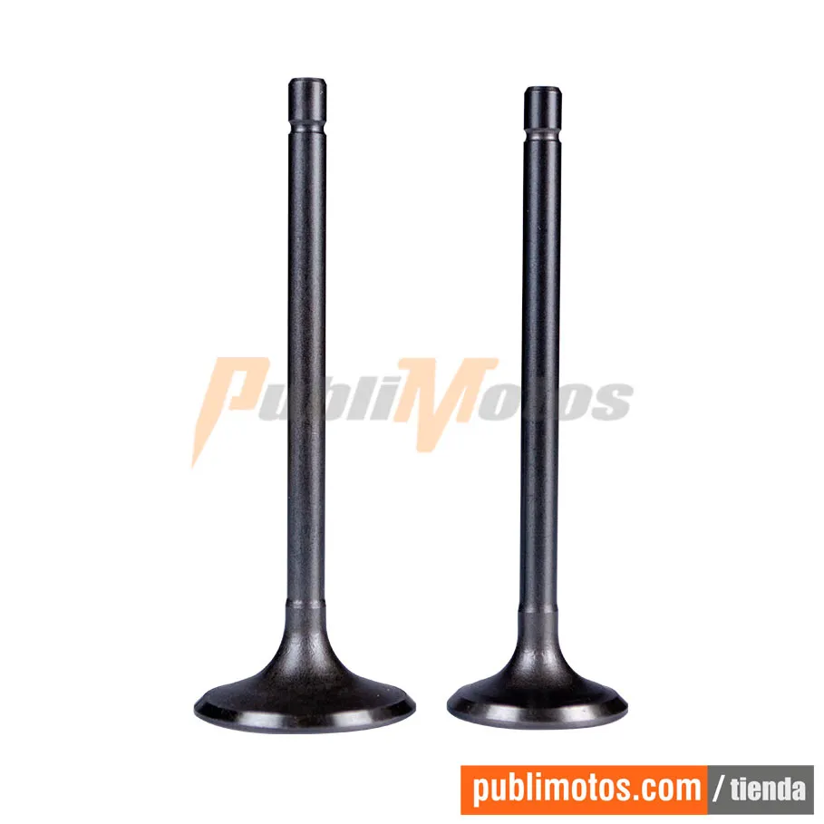 KIT VALVULAS ADM Y ESC-AK 180 SM