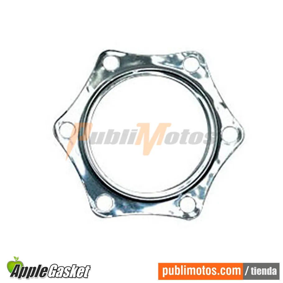 EMPAQUE CULATA GRAFITO DTK 175|DTE 175