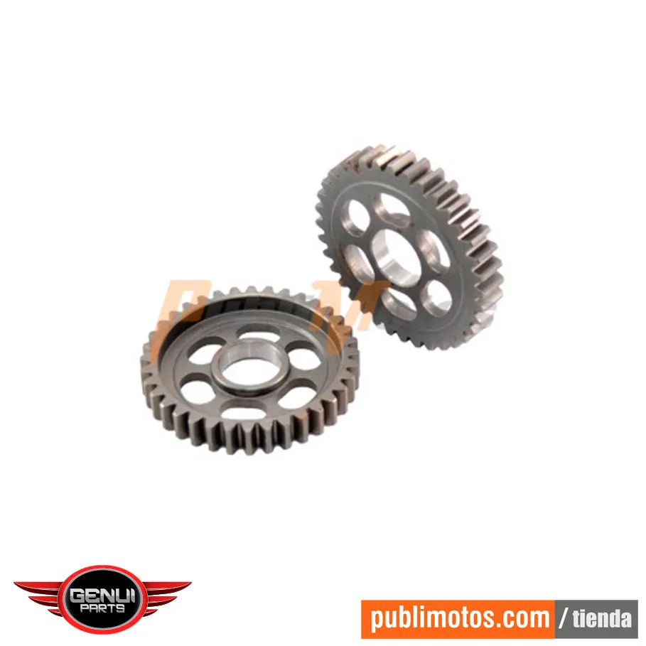 PIÑON 1A SALIDA 36T AK 125 S(05-07)|SL(08-09-10)|NKD|NKDR|SLR|EVOS|TTRS180 XM|200 SM