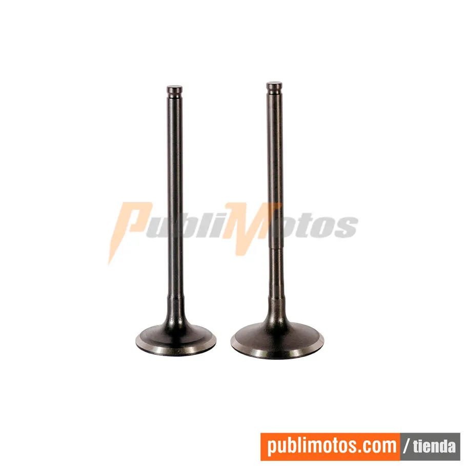 VALVULAS ADM Y ESC-AK 150 RTX | RTXS