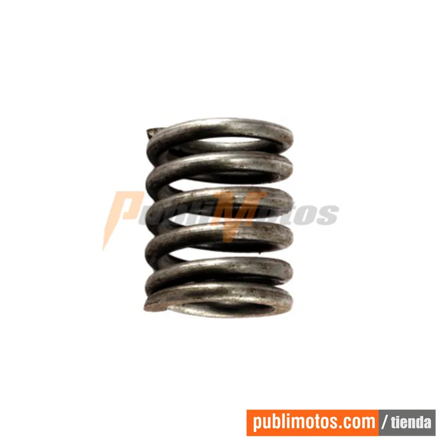 RESORTE CLUTCH AK 125 FLEX GENUI