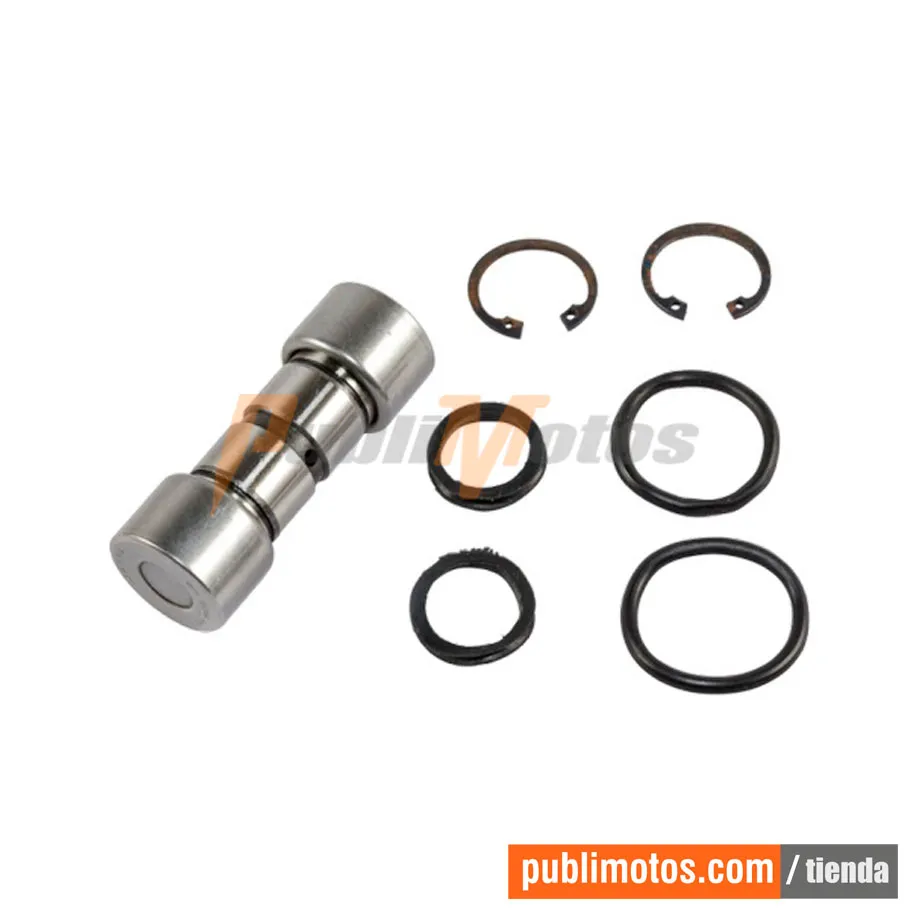 BUJES SUSPENSI?N DELANTERO GENUI MOTOCARRO 175 | RE205D