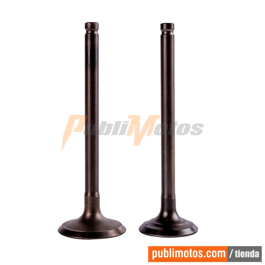 VALVULAS ADM Y ESC-VIVA R 110 COOL | L5