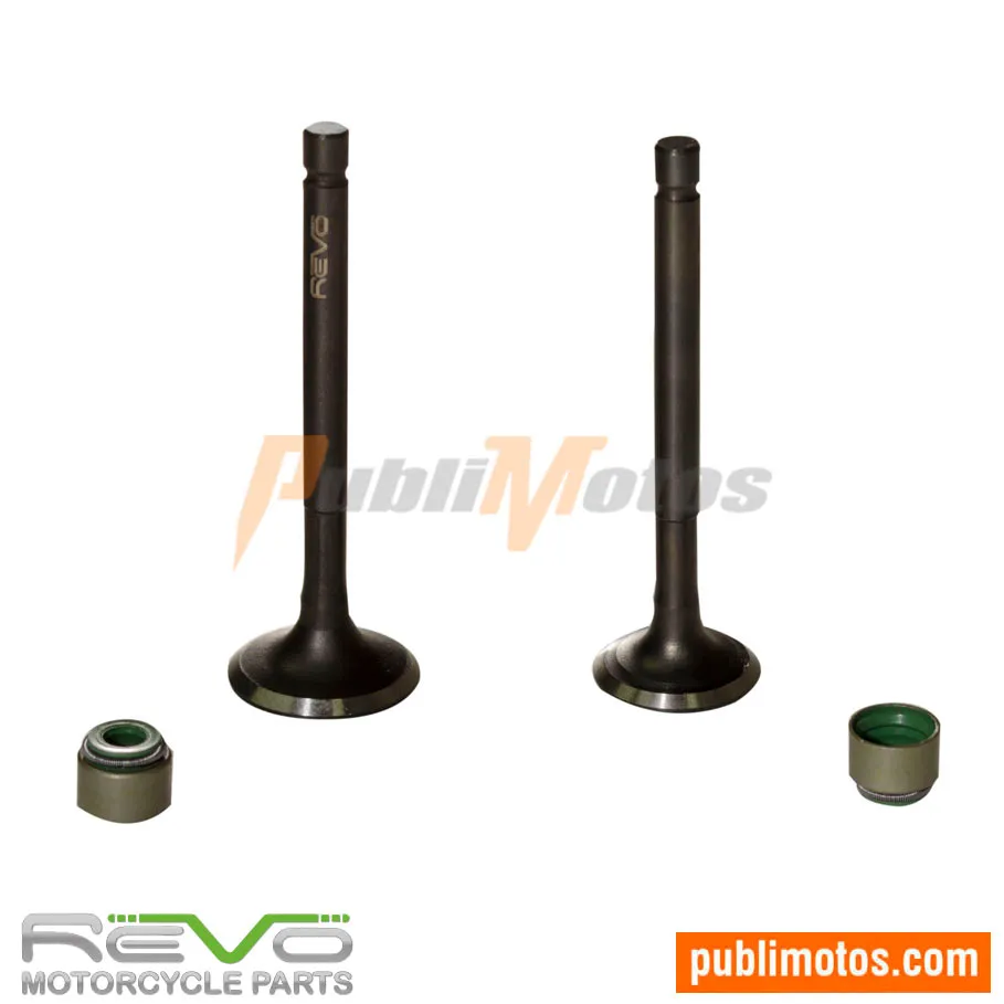 VÁLVULA ADM Y ESC+SELLOS BOXER CT 100 | TITANNIUM | BM 100 CLASIC | PLATINO 100 | CALIBER 115
