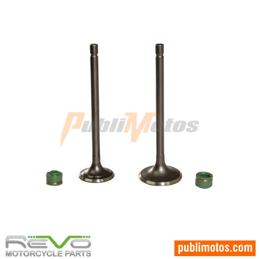 VÁLVULA ADM Y ESC+SELLOS XL 125 | 185S