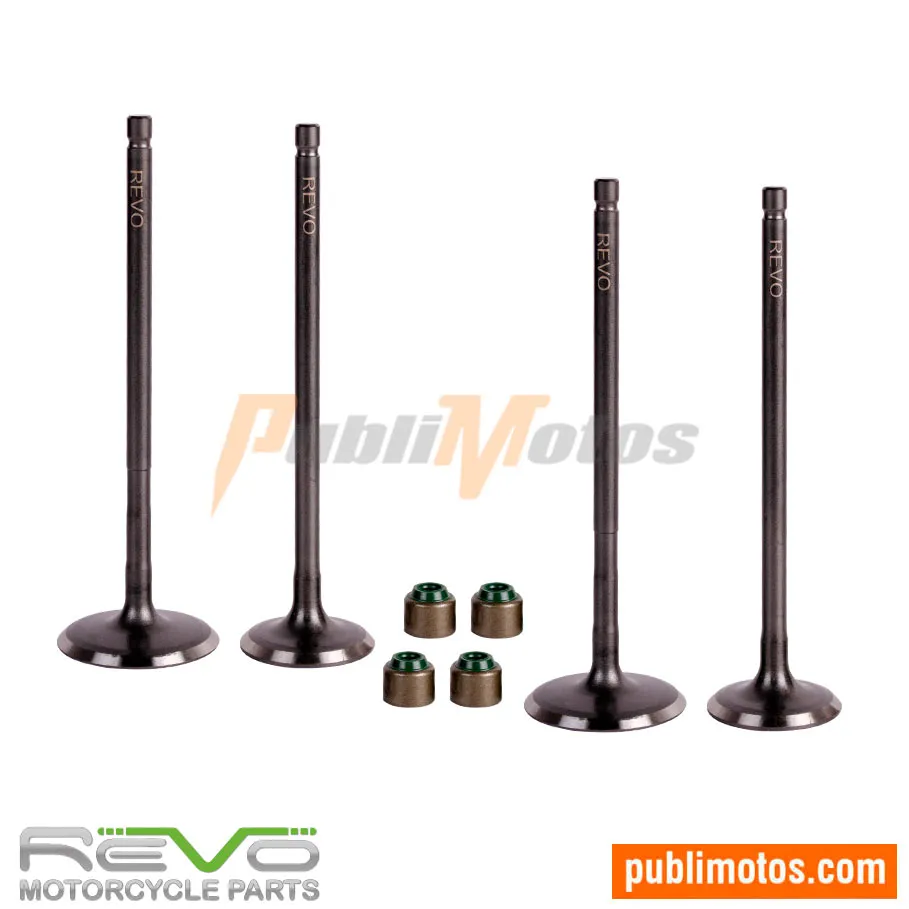 VÁLVULA ADM Y ESC+SELLOS PULSAR 200 NS | AS | RS | NS BSIV | 200 NS FI