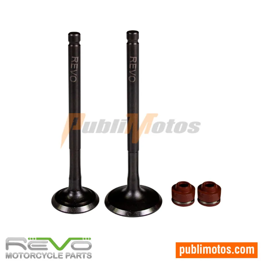 VÁLVULA ADM Y ESC+SELLOS TVS 100 SPORT