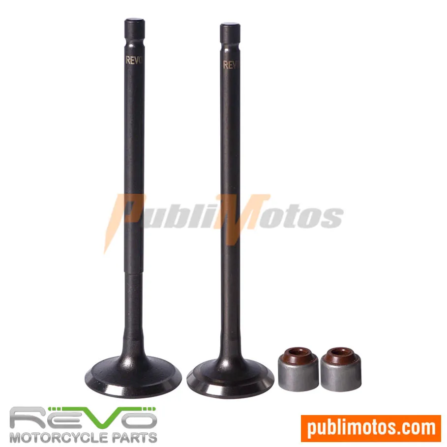 VALVULA ADM Y ESC+SELLOS REVO DISCOVER 100-BOXER BM 100-KS ES
