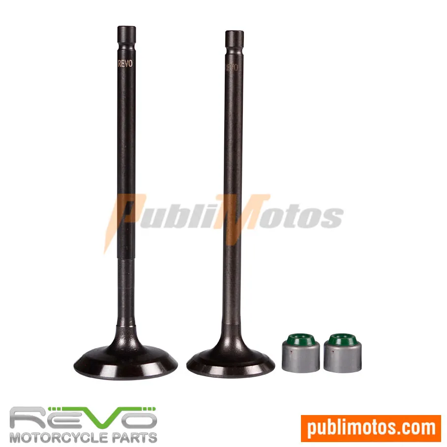 VÁLVULA ADM Y ESC+SELLOS REVO PLATINO 125 DTSI-XCD 125