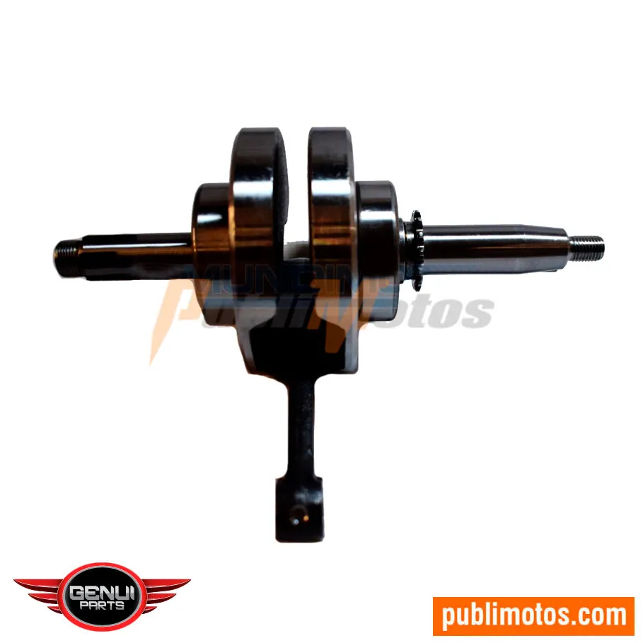CIGUEÑAL COMPLETO GENUI SZ RR | FZ 20
