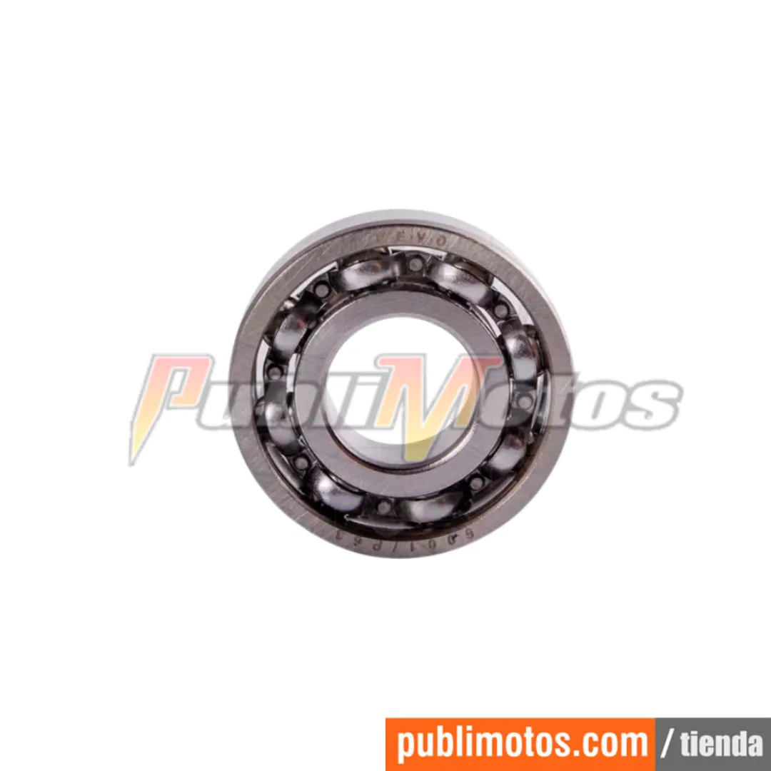 BALINERA-6001 C3
