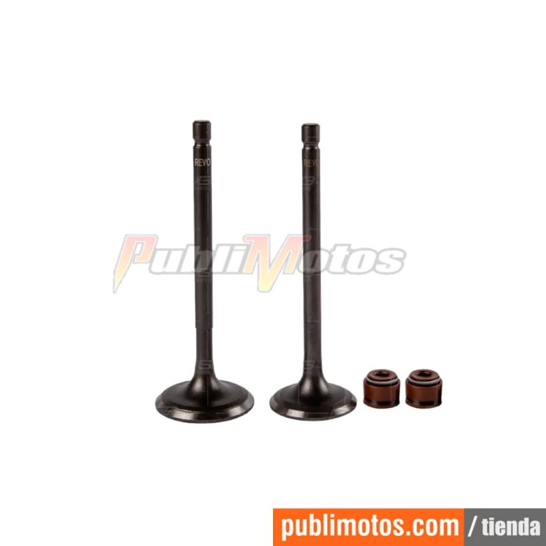 VALVULA ADM Y ESC+SELLOS.TVS APACHE RTR 160 2V-180-MOTOCARRO TVS TUK TUK/REVO_PAR